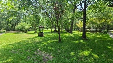 "Beaumont TX Auction: Waterfront Home with Airbnb Potential" - image 29