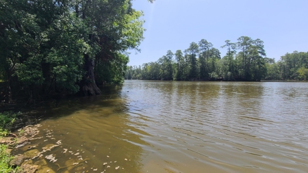 "Beaumont TX Auction: Waterfront Home with Airbnb Potential" - image 18