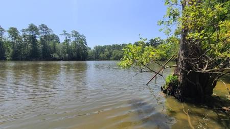 "Beaumont TX Auction: Waterfront Home with Airbnb Potential" - image 19