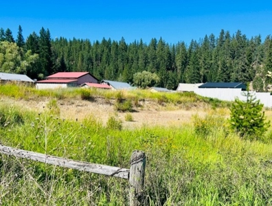 Small Town Living! Country Lot Ready to Build! - image 1