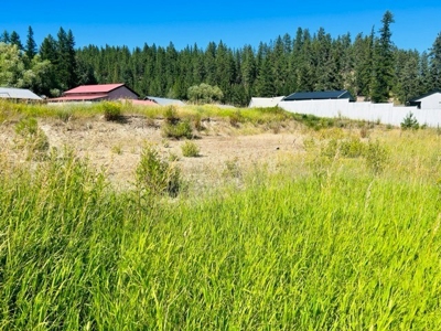Small Town Living! Country Lot Ready to Build! - image 3