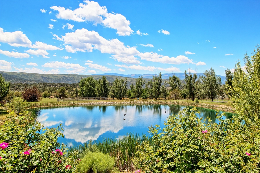  2000 Castle Peak Ranch road Eagle Colorado