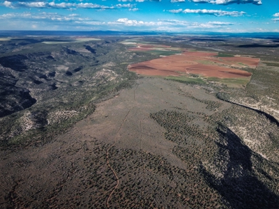Colorado Hunting Property Recreational Acreage Land For Sale - image 30