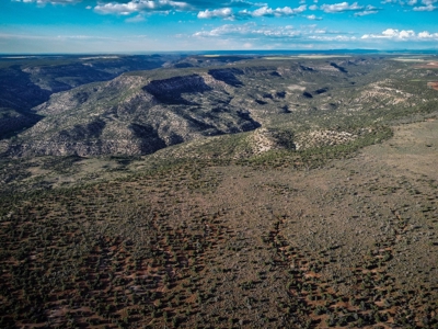 Colorado Hunting Property Recreational Acreage Land For Sale - image 24
