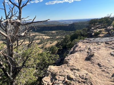 Colorado Hunting Property Recreational Acreage Land For Sale - image 4