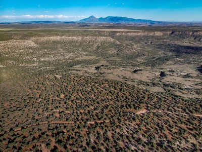 Colorado Hunting Property Recreational Acreage Land For Sale - image 22
