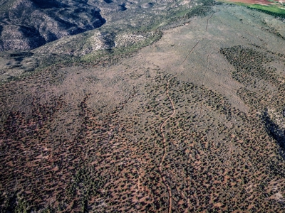 Colorado Hunting Property Recreational Acreage Land For Sale - image 28