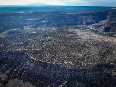 Colorado Hunting Property Recreational Acreage Land For Sale - image 19