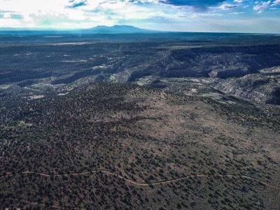 Colorado Hunting Property Recreational Acreage Land For Sale - image 14