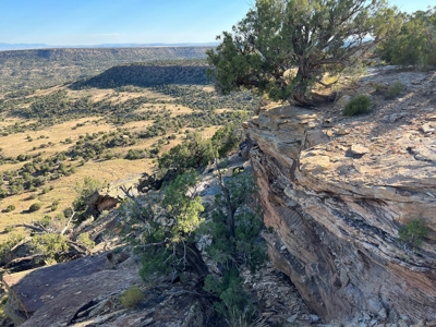 Colorado Hunting Property Recreational Acreage Land For Sale - image 5
