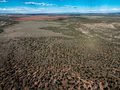 Colorado Hunting Property Recreational Acreage Land For Sale - image 23