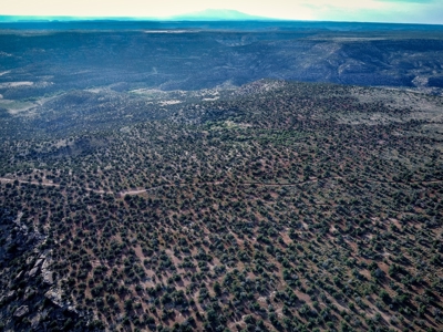 Colorado Hunting Property Recreational Acreage Land For Sale - image 16