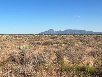 Colorado Hunting Property Recreational Acreage Land For Sale - image 8