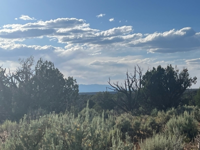 Colorado Hunting Property Recreational Acreage Land For Sale - image 41