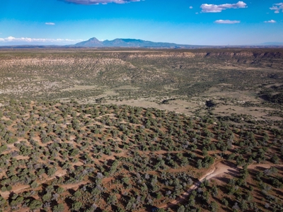 Colorado Hunting Property Recreational Acreage Land For Sale - image 15
