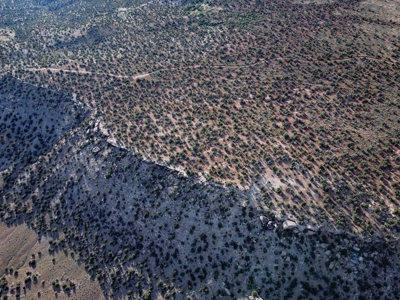 Colorado Hunting Property Recreational Acreage Land For Sale - image 17