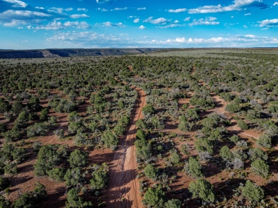 Colorado Hunting Property Recreational Acreage Land For Sale - image 20