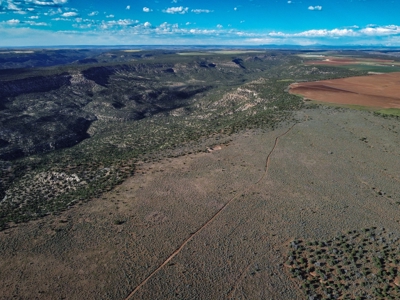 Colorado Hunting Property Recreational Acreage Land For Sale - image 11