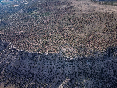 Colorado Hunting Property Recreational Acreage Land For Sale - image 18