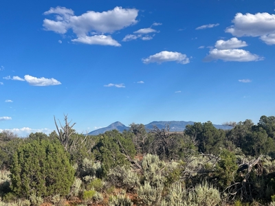 Colorado Hunting Property Recreational Acreage Land For Sale - image 43