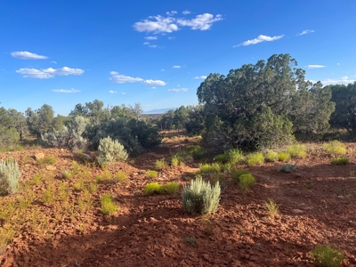 Colorado Hunting Property Recreational Acreage Land For Sale - image 47