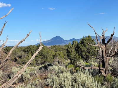 Colorado Hunting Property Recreational Acreage Land For Sale - image 45