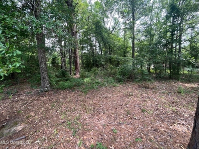 0.18 Acre Lot for Sale Shady Oaks Subdivision, Brandon, MS - image 4