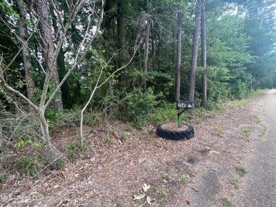 0.18 Acre Lot for Sale Shady Oaks Subdivision, Brandon, MS - image 5