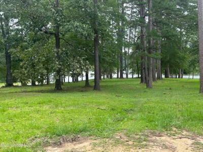 0.18 Acre Lot for Sale Shady Oaks Subdivision, Brandon, MS - image 6