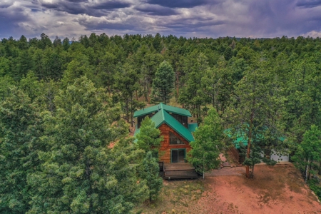 Mountain Log Cabin For Sale in Florissant Colorado - image 36