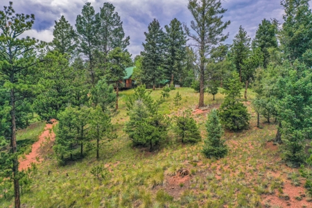Mountain Log Cabin For Sale in Florissant Colorado - image 34