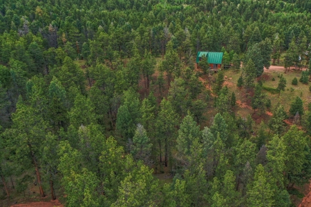 Mountain Log Cabin For Sale in Florissant Colorado - image 31