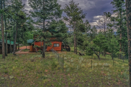 Mountain Log Cabin For Sale in Florissant Colorado - image 29