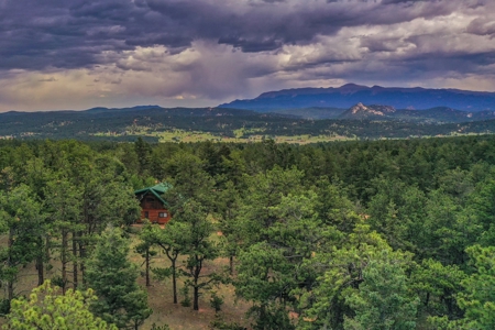 Mountain Log Cabin For Sale in Florissant Colorado - image 27