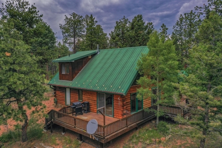Mountain Log Cabin For Sale in Florissant Colorado - image 38