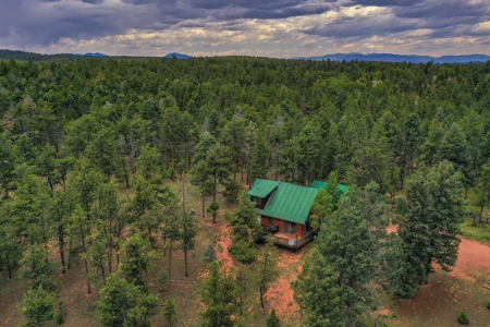 Mountain Log Cabin For Sale in Florissant Colorado - image 35