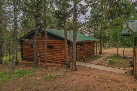 Mountain Log Cabin For Sale in Florissant Colorado - image 30