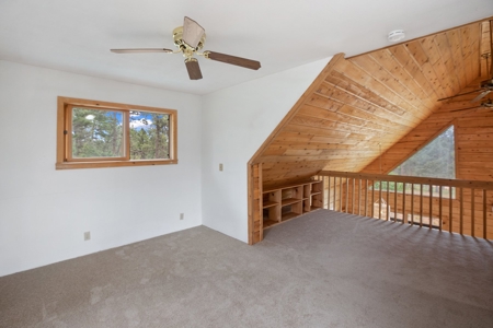 Mountain Log Cabin For Sale in Florissant Colorado - image 18
