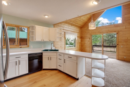 Mountain Log Cabin For Sale in Florissant Colorado - image 14