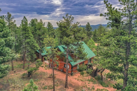 Mountain Log Cabin For Sale in Florissant Colorado - image 33