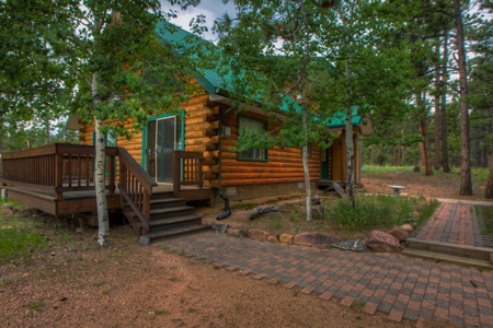 Mountain Log Cabin For Sale in Florissant Colorado - image 1