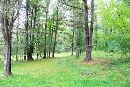 Real Estate Online Auction - image 6