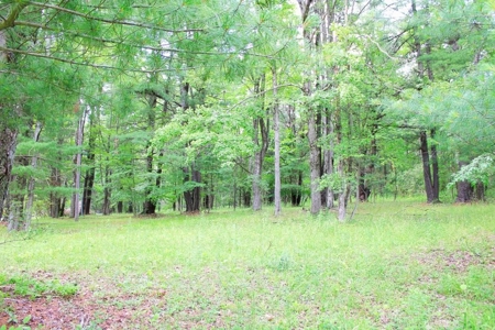 Real Estate Online Auction - image 8