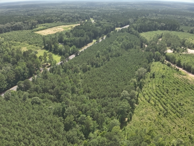 Land For Sale Near Village in Columbia County, AR - image 8