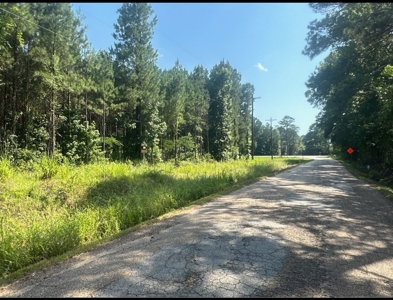 Land For Sale Near Village in Columbia County, AR - image 2