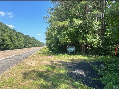 Land For Sale Near Village in Columbia County, AR - image 1