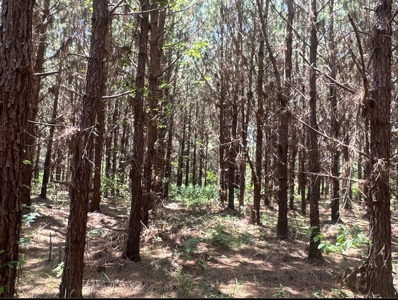 Land For Sale Near Village in Columbia County, AR - image 2