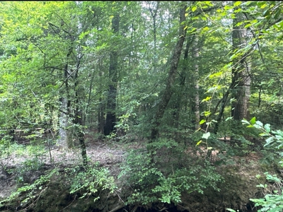Land For Sale Near Village in Columbia County, AR - image 3