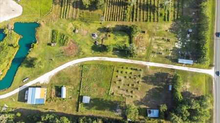 "15-Acre Sour Lake Treasure: Farmhouse, Gardens, and Pond" - image 2