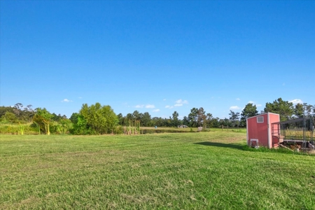 "15-Acre Sour Lake Treasure: Farmhouse, Gardens, and Pond" - image 42
